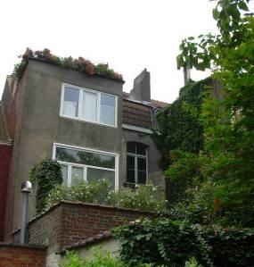 ?Figure 4 : Toitures vertes et murs verts à l’arrière d’un immeuble à appartements à Anderlecht, 
photo : ceraa asbl.?