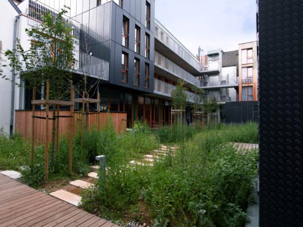 Collectieve tuin tussen de gebouwen die insijpeling van het regenwater mogelijk maakt