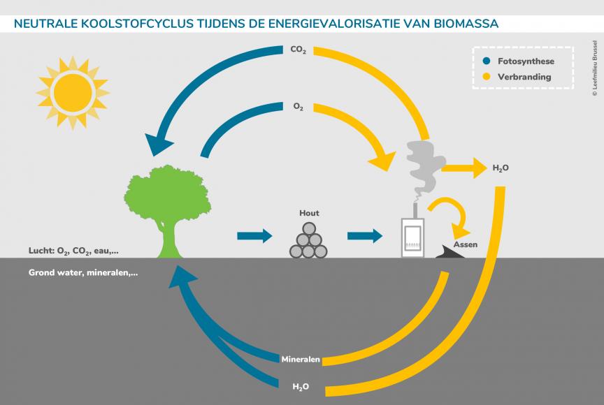 Neutrale koolstofcyclus tijdens de energievalorisatie van biomassa
