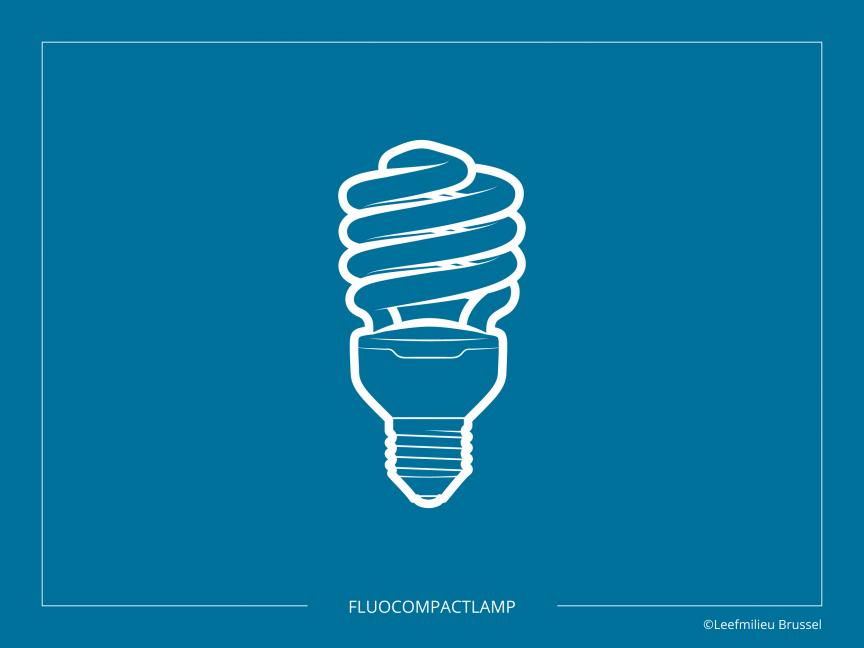 Fluocompactlamp