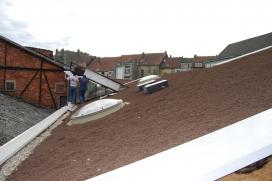 Plaatsing van een extensief groendak op een hellend dak van +/-20°